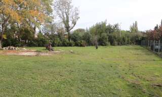 Terrain  778 m² à vendre à Saint-Genis-de-Saintonge (17240)