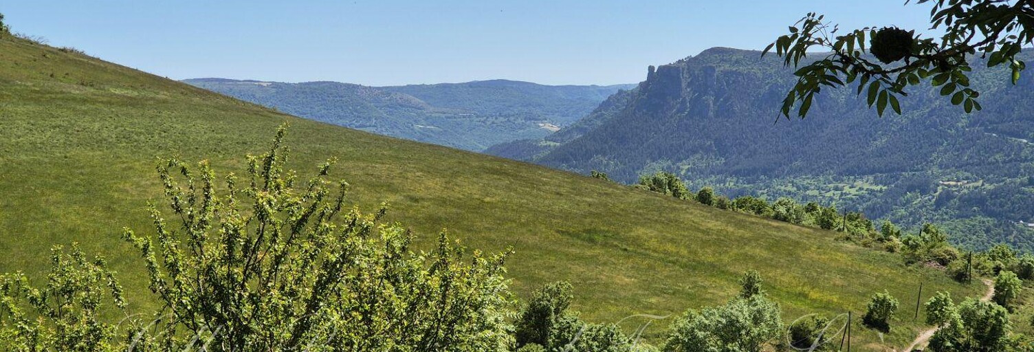 Maison 16 Pièces 415 m² à vendre à Bédouès-Cocurès (48400)