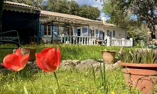 Maison 7 Pièces 248 m² à vendre à Clermont-l'Hérault (34800)