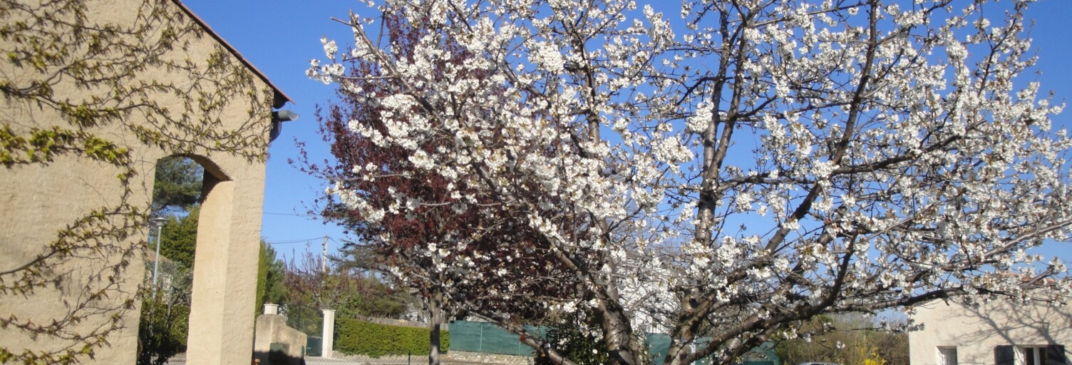 Maison 5 Pièces 126 m² à vendre à Saint-Étienne-les-Orgues (04230)