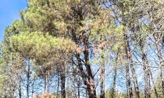 Terrain  270000 m² à vendre à Saint-Barthélemy-de-Bellegarde (24700)