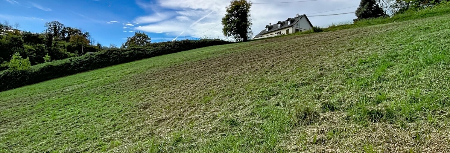 Terrain  7995 m² à vendre à Monein (64360)