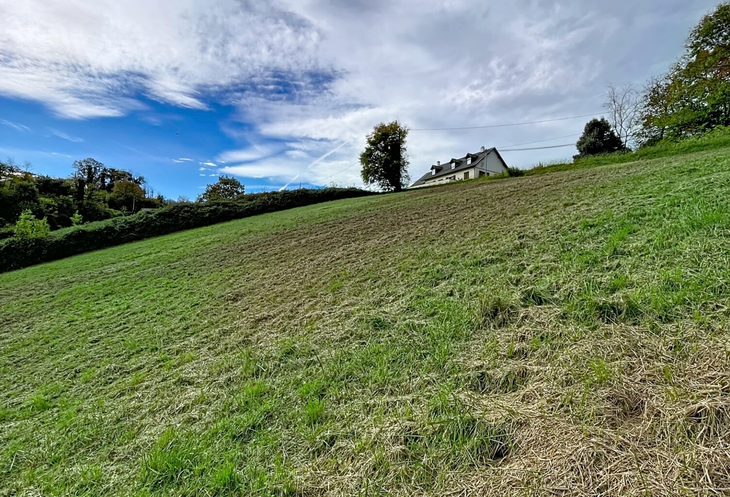 Vente Terrain agricole 7 995 m&sup2; — photo 1