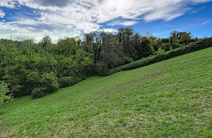 Vente Terrain agricole 7 995 m&sup2; — photo 3