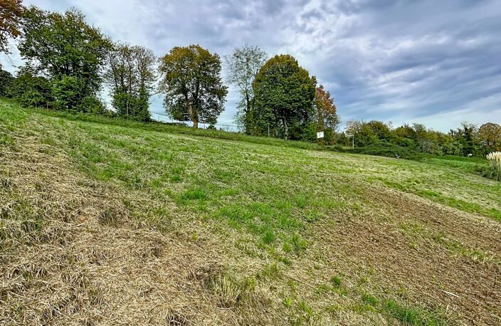 Vente Terrain agricole 7 995 m&sup2; — photo 4