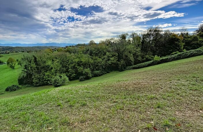 Vente Terrain agricole 7 995 m&sup2; — photo 5