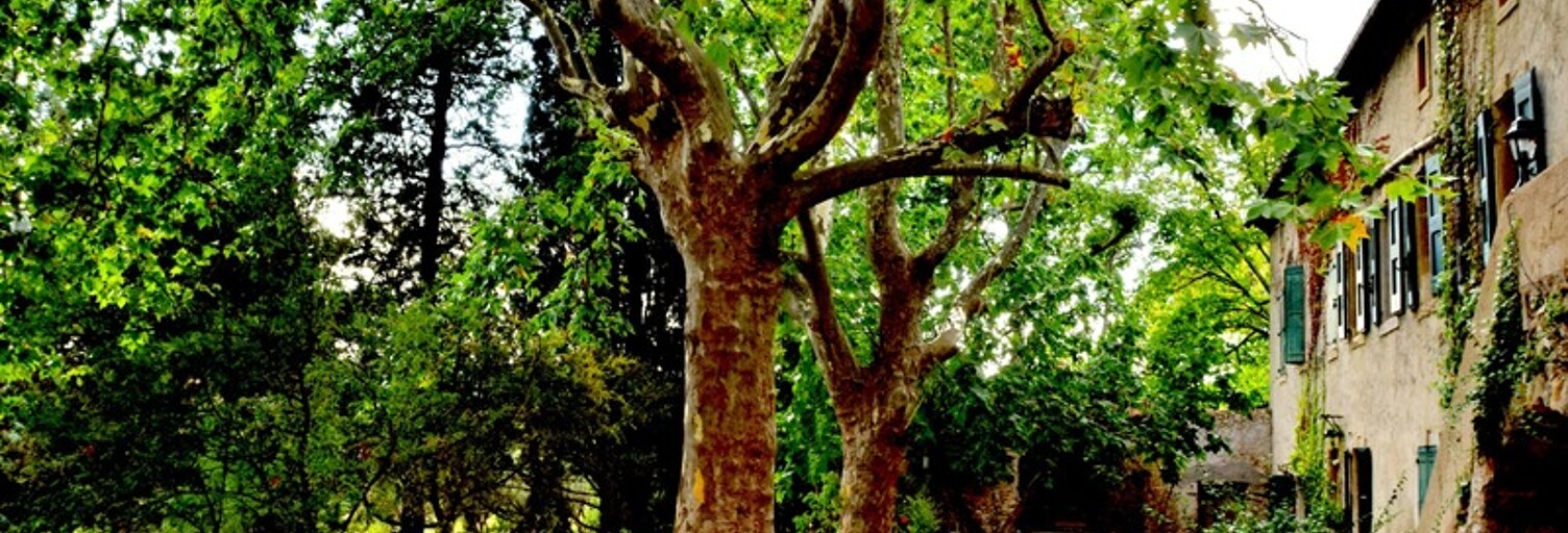 Maison 11 Pièces 215 m² à vendre à Alès (30100)