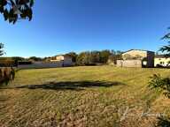Terrain constructible 1542 m² + 8862 m²  de terrain agricole - Garage existant – Lamothe-Montravel — photo 3