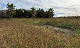 Terrain  1700 m² à vendre à Semussac (17120)