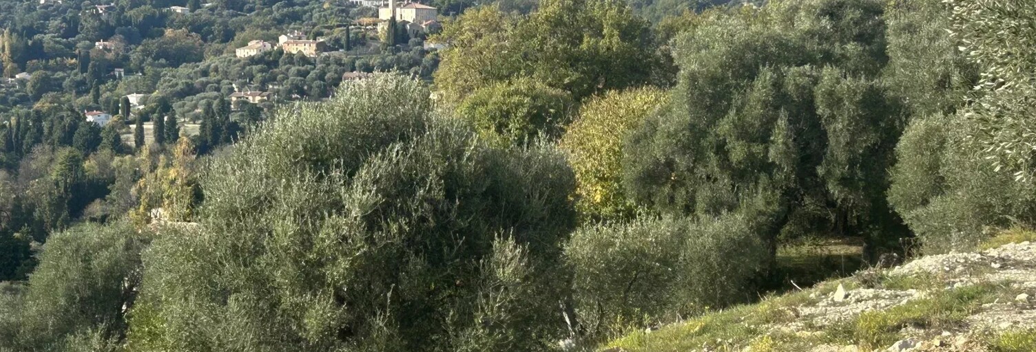 Terrain  2620 m² à vendre à Opio (06650)