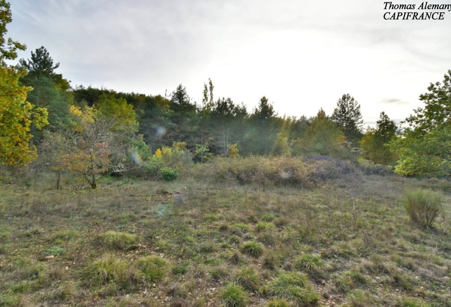 Terrain à bâtir de 3802 m². Libre Constructeur. ESTOUBLON (04) — photo 1