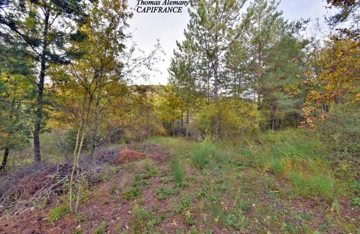 Terrain à bâtir de 3802 m². Libre Constructeur. ESTOUBLON (04) — photo 5