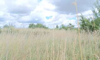 Terrain  1000 m² à vendre à Puyravault (85450)