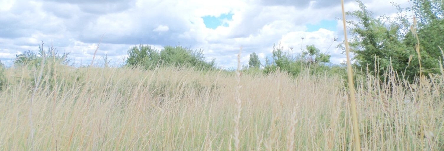 Terrain  1000 m² à vendre à Puyravault (85450)