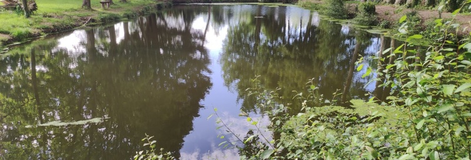 Maison 7 Pièces 165 m² à vendre à Morannes sur Sarthe-Daumeray (49640)