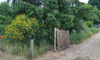 Maison  1660 m² à vendre à Les Bordes (45460)