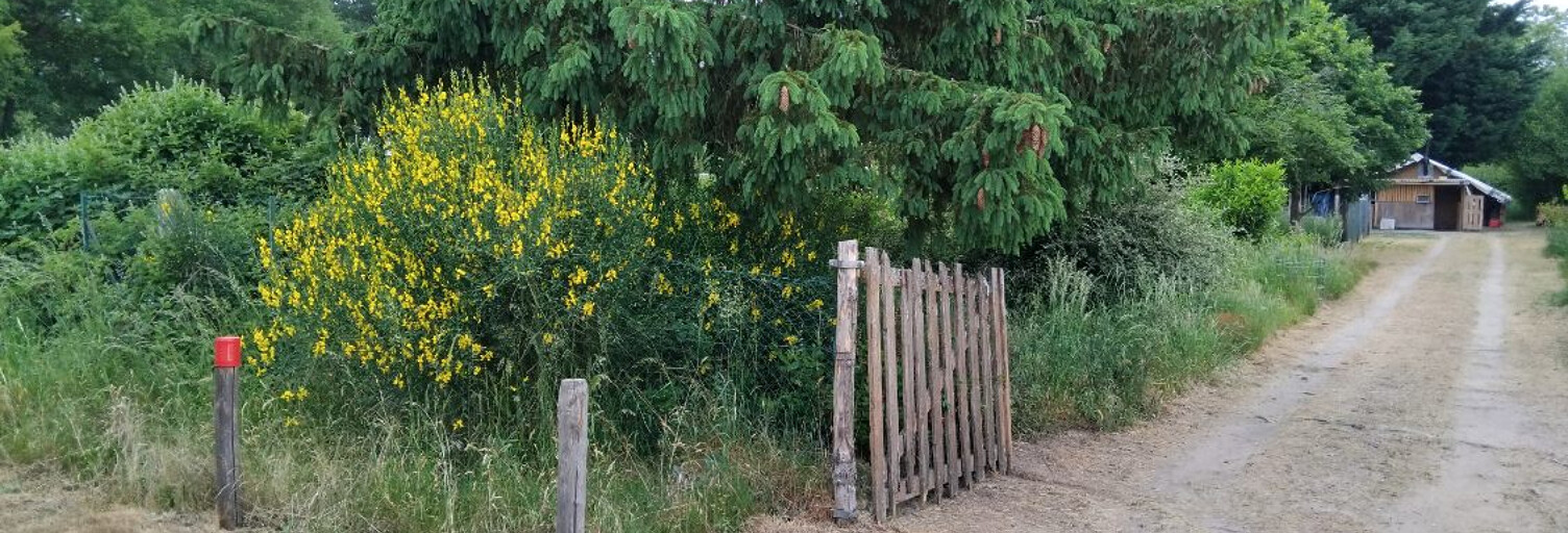 Maison  1660 m² à vendre à Les Bordes (45460)