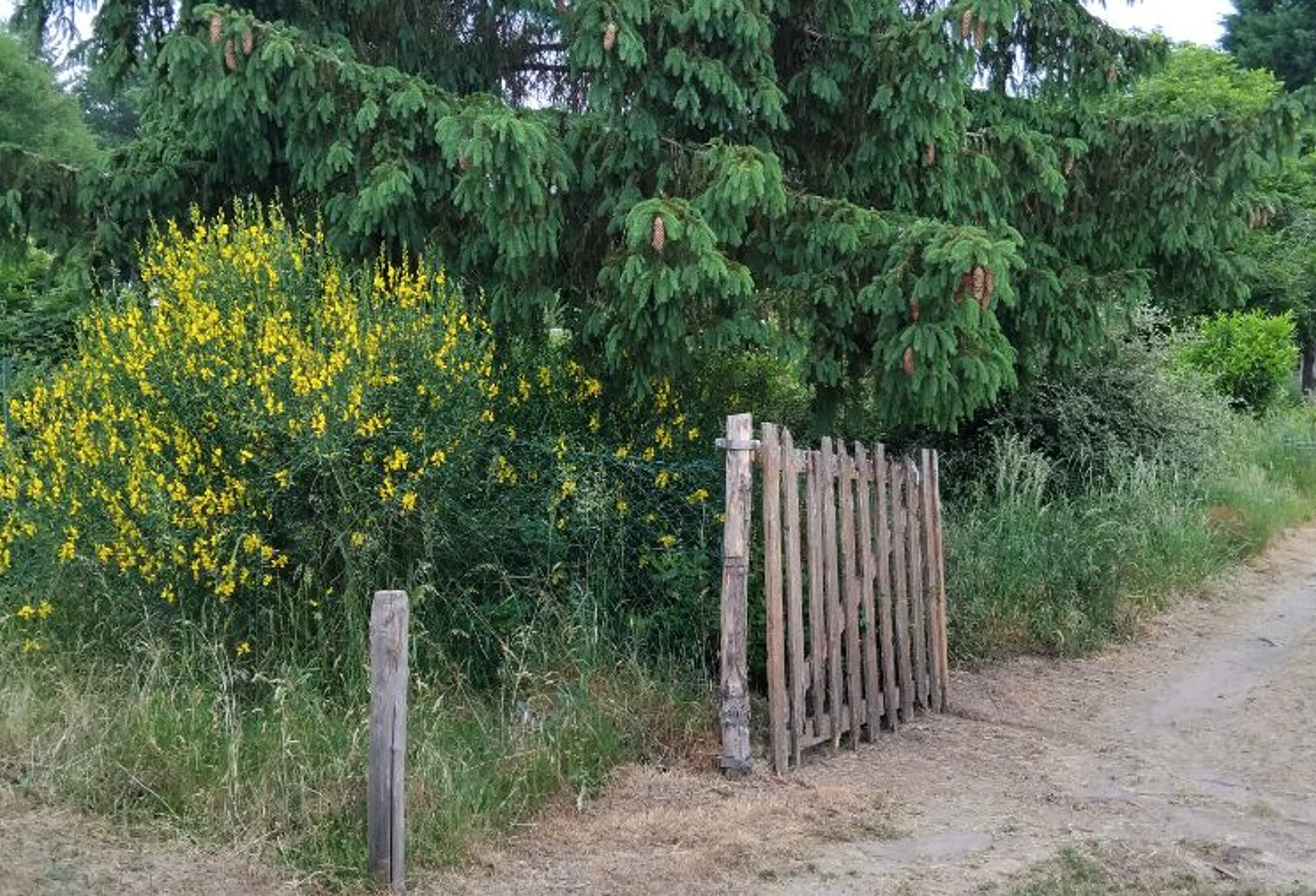 Terrain de loisirs Les Bordes — photo 1