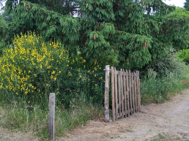 Terrain de loisirs Les Bordes — photo 1