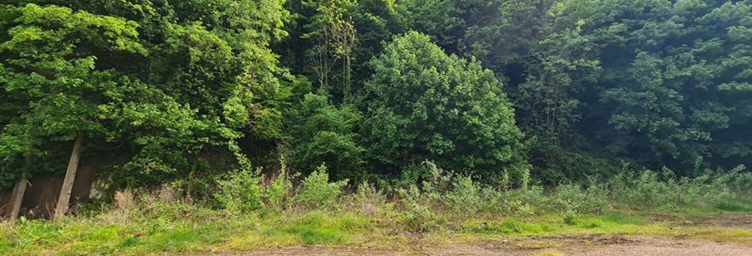 Maison 2 Pièces 195 m² à vendre à Les Andelys (27700)