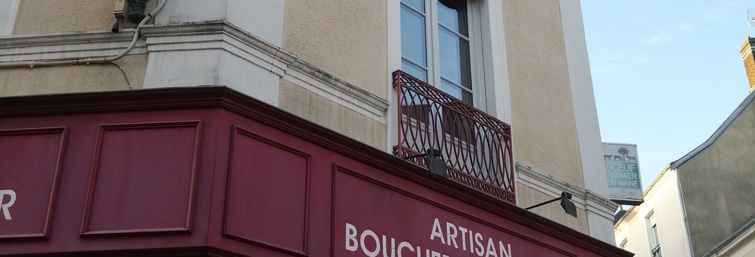 Maison 3 Pièces 165 m² à vendre à Sillé-le-Guillaume (72140)