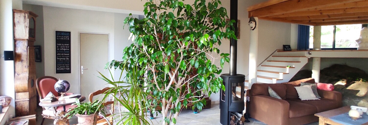 Maison 5 Pièces 140 m² à vendre à Saint-Jean-du-Pin (30140)