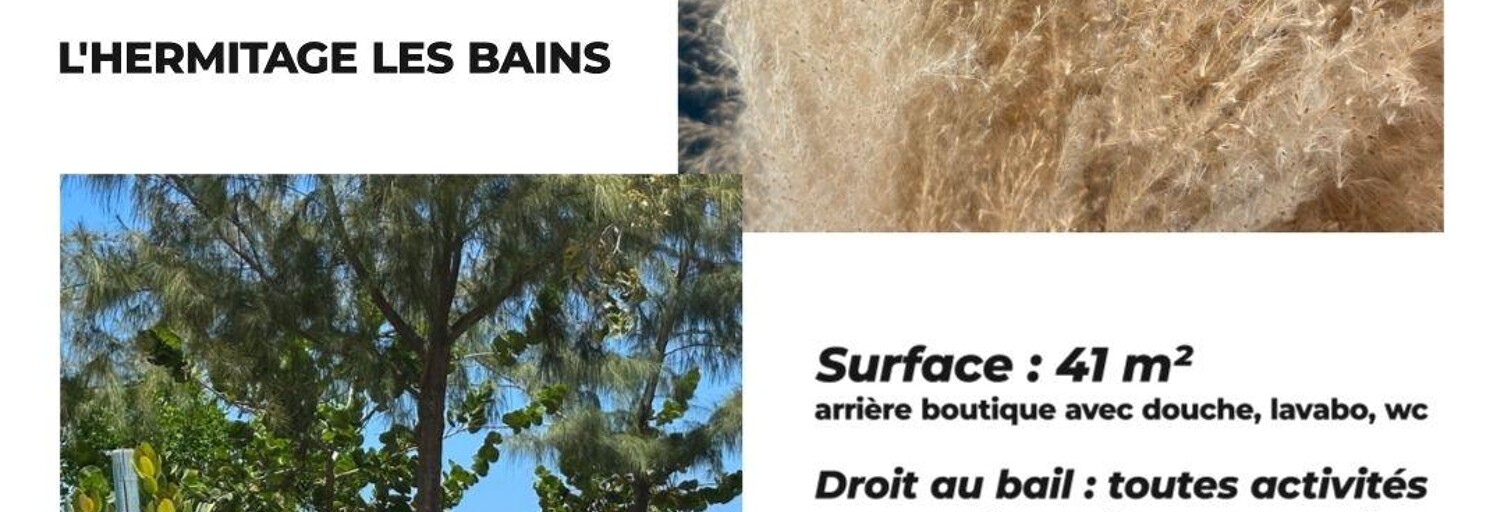 Commerce  41 m² à vendre à Saint-Paul (97434)