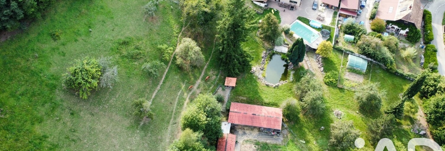 Maison 9 Pièces 423 m² à vendre à Sainte-Croix-aux-Mines (68160)