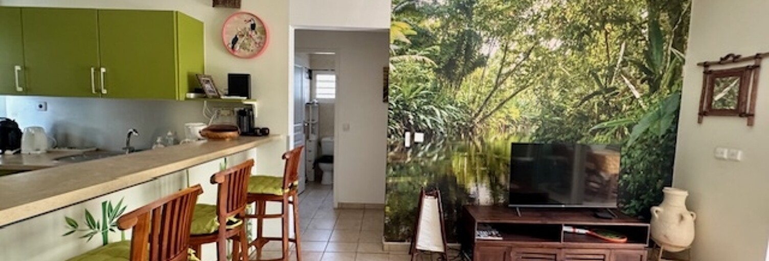 Appartement 3 Pièces 60 m² à vendre à Saint-François (97118)