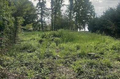 Terrain  215000 €