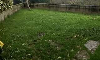 Maison 6 Pièces 103 m² à vendre à Dammartin-en-Goële (77230)