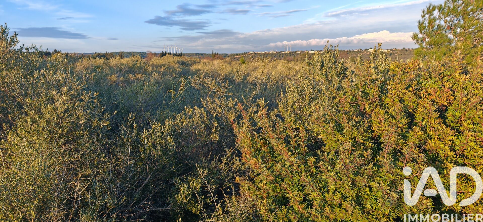 La-Palme - 5940m²