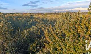 Terrain  5940 m² à vendre à La Palme (11480)