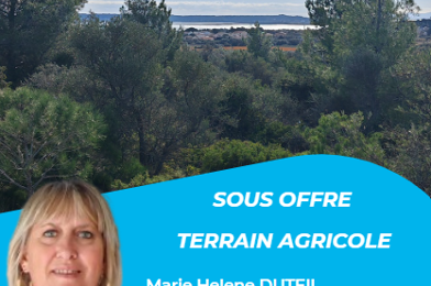 Terrain  29000 €