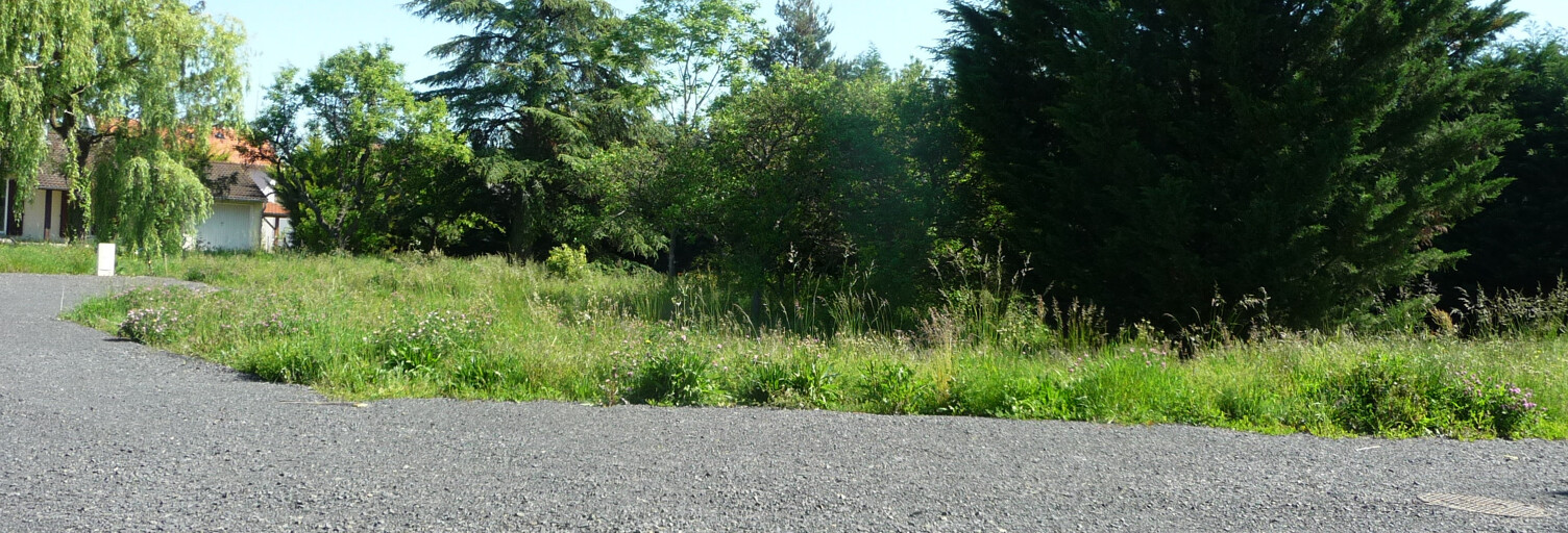 Terrain  760 m² à vendre à Savigneux (42600)