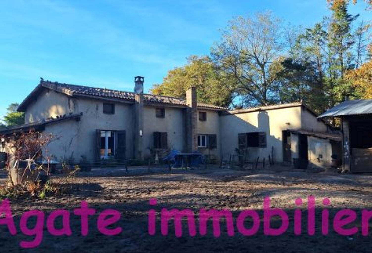 GRANDE MAISON A VENDRE A VILLANDRAUT — photo 1