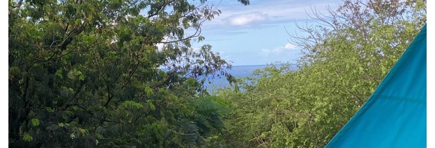 Appartement 3 Pièces 53 m² à vendre à Deshaies (97126)