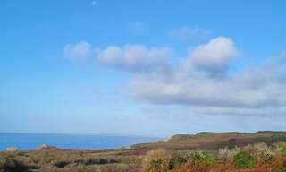 Terrain  690 m² à vendre à Crozon (29160)