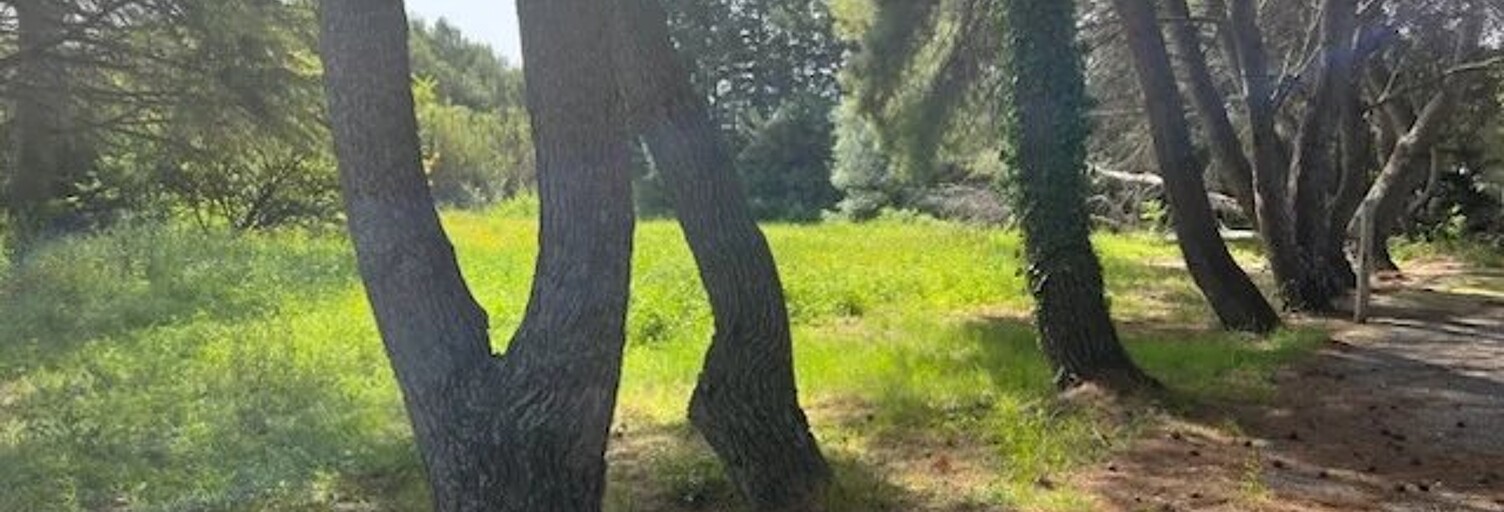 Terrain  614 m² à vendre à Narbonne (11100)