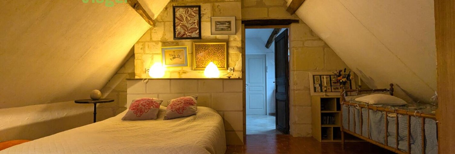 Maison 185 m² en viager Bourgueil (37140)