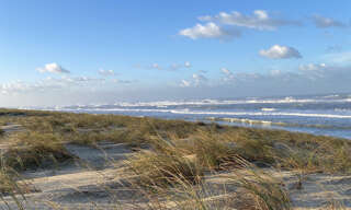 Maison 6 Pièces 248 m² à vendre à Le Cap-Ferret (33970)