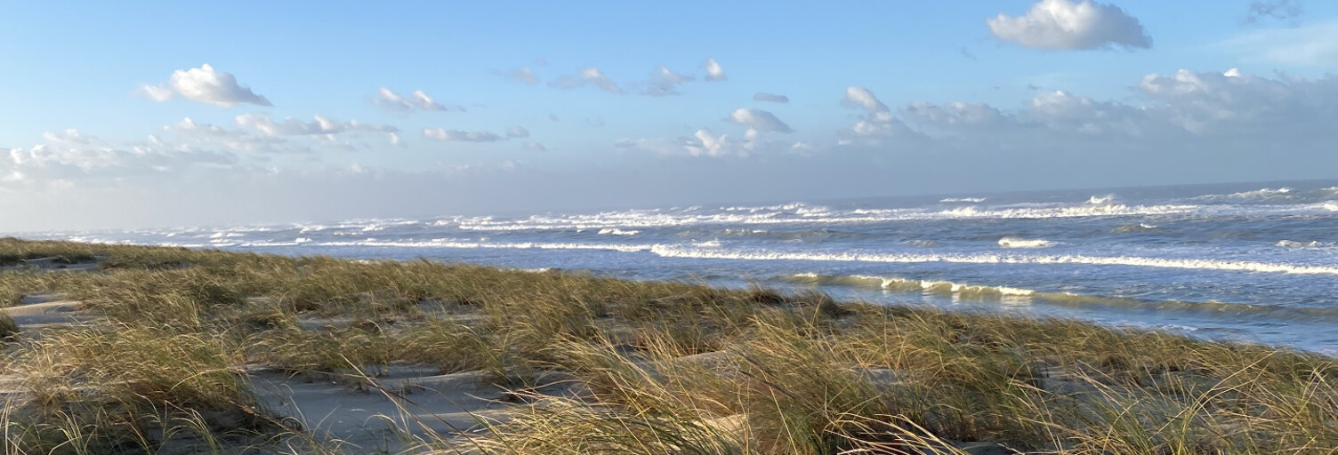 Maison 6 Pièces 248 m² à vendre à Le Cap-Ferret (33970)