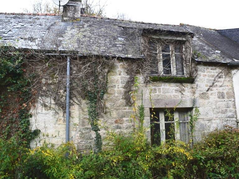 Maison — photo 1