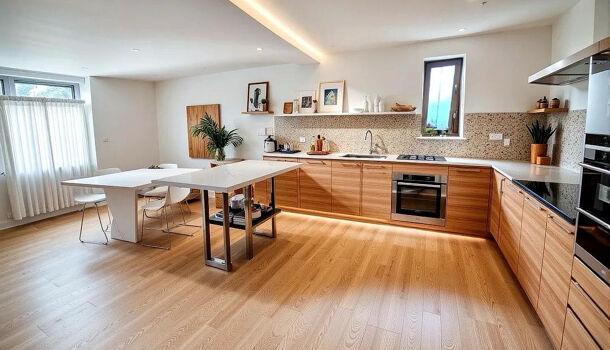 Villa / Maison 4 pièces  à vendre Saint-Cyprien 66750