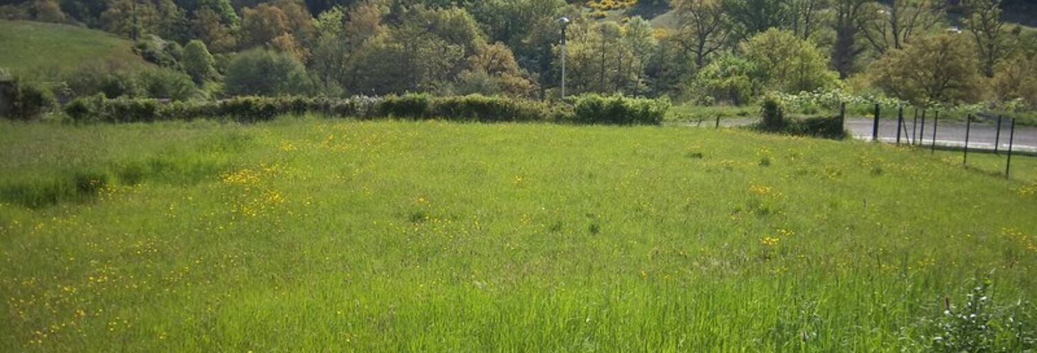 Terrain  1750 m² à vendre à Saint-Dier-d'Auvergne (63520)