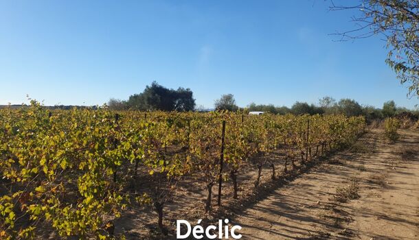 Terrain  à vendre Servian 34290