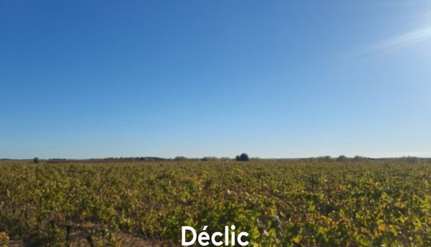 Terrain  à vendre Servian 34290