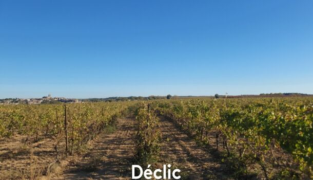 Terrain  à vendre Servian 34290