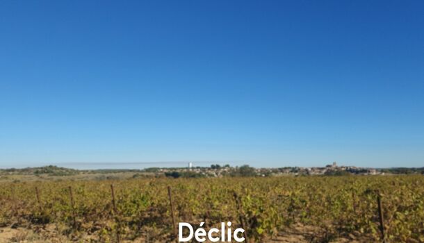 Terrain  à vendre Servian 34290