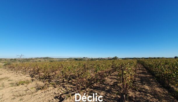 Terrain  à vendre Servian 34290